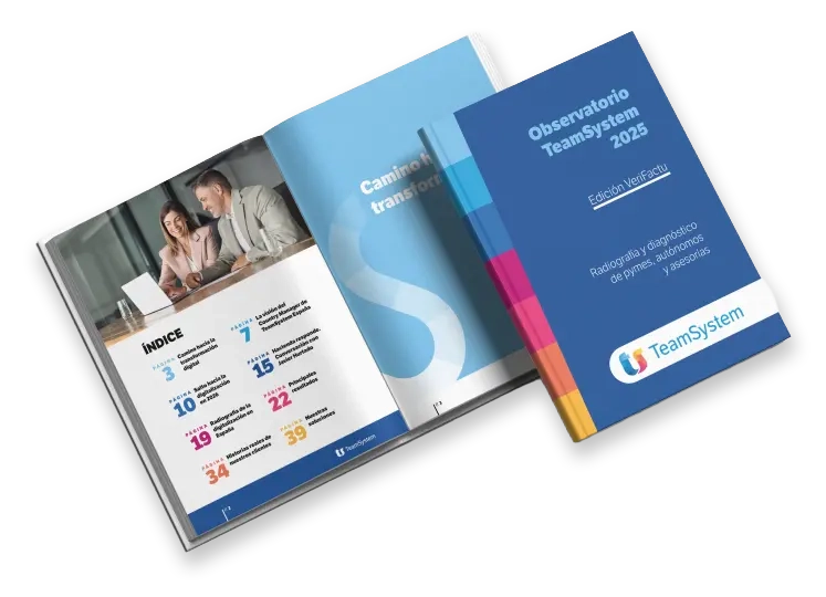 Ebook Termómetro Anual 2025. Edición VeriFactu