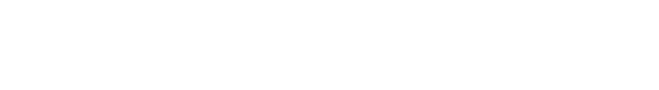 TS Servicio Laboral Integral